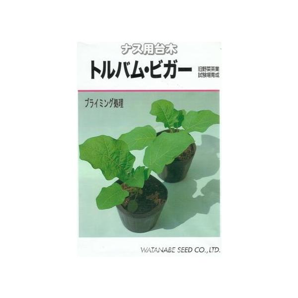 ●ネコブセンチュウにも強く、総合的に最も安定した抵抗性台木です。●半身萎凋病には現行台木品種中、強い抵抗性を示します。●種子が小さく初期生育が遅い為、アカナスより約1か月近く早播きします。●発芽促進処理種子は播種から発芽まで5〜7日位早まり...