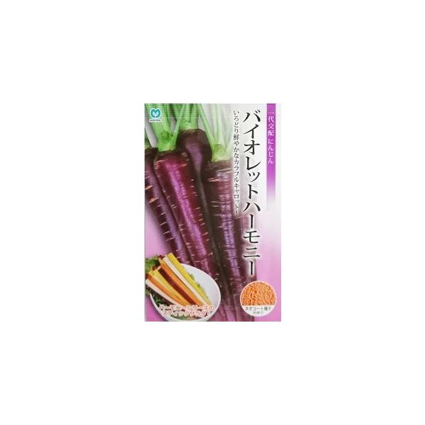 ●播種後110日前後で収獲する春・夏まき兼用の紫人参です。●根長は20〜25cm、直径は太いところで3〜4cmとなります。●根色は鮮やかな紫色で、中心部は鮮黄色となります。●草勢は強めで、肥大よく揃いも良好です。●いろどりを活かして、スティ...