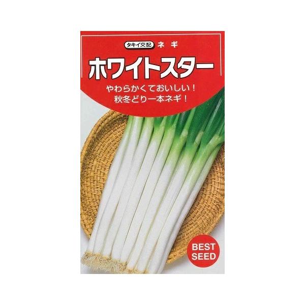 ●生育が旺盛で伸びと太りがすぐれる、合柄系の良質多収種。●軟白部の白さと色つやが優れ、肉質はやわらかく苦みや辛みが少ないので食味にすぐれる。●そろい性にすぐれ、クズの発生が少なく秀品率が高い。●また皮むき作業が容易なので、出荷調整時間が短縮...