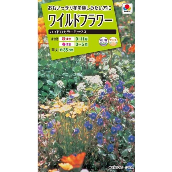 ●このハイドロカラーミックスには、西洋のこぎり草、花菱草、アリッサム、シレネ、クローバーなど、乾燥に強くグランドカバー向きの草丈が低い一年草と多年草を混合しています。●高速道路の法面や、一般の道路沿い、鉄道沿い、河川敷、町や団地の空き地など...