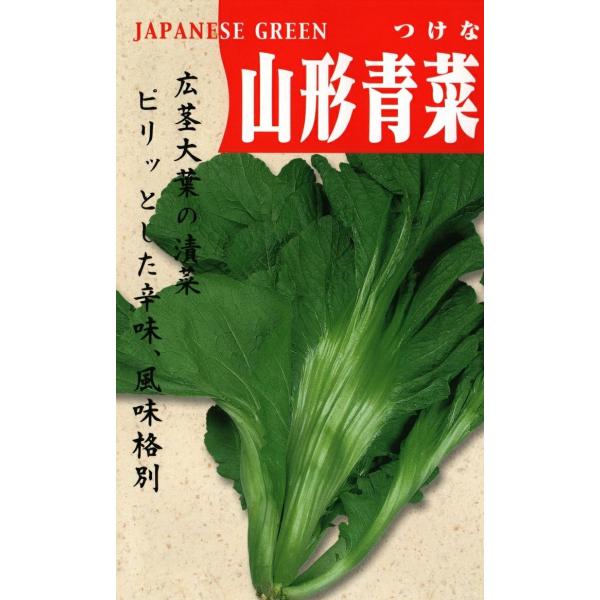 ●茎の幅が10cm、草丈60cmにも達する平茎で、この茎が歯切れよく辛みとともに独特の風味があり、漬物として好評です。●生育旺盛で播種後65〜70日位で収穫可能な高菜です。