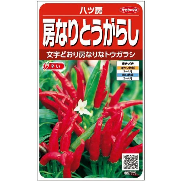 野菜種 房なりとうがらし「八ツ房」 2ml （サカタのタネ）【送料込み】 野菜 種 家庭菜園 唐辛子 トウガラシ やつふさ 八房