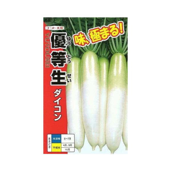 ●播種幅が広く、秋蒔き・晩秋蒔き・春蒔きの三季蒔きができる。●暖地・中間地の9月下旬〜10月上旬蒔き、1〜2月収穫のトンネルまたはハウス栽培では、小葉であるが下葉の黄化がなく、低温においても伸長・肥大性に優れている。●根径7.5cm前後、根...