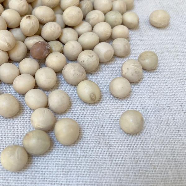 ●名称：大豆 ※遺伝子組み換えでない●原産地名：宮城県または岩手県●賞味期限：2026年12月●保存方法：開封後は15℃以下で保存してください。■入荷時期によって品質にバラつきが生じる場合がございます。異物が混入している場合もございますので...