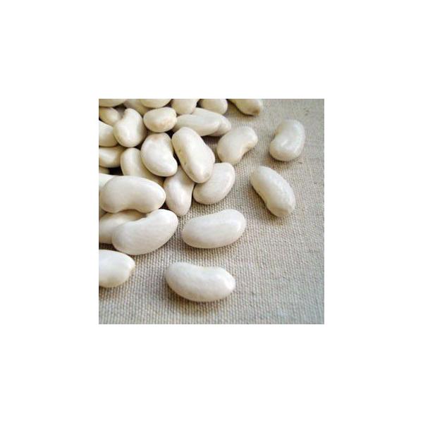 NAXZ[ 啟 1kg 2024NY ߘa6NY kCY 񂰂