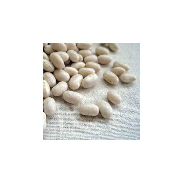 S 500g 2024NY ߘa6NY kCY 񂰂