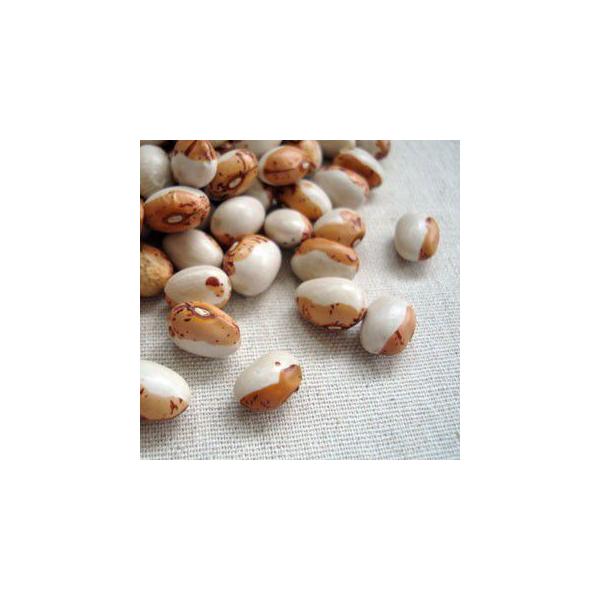 Ƃ瓤 200g 2024NY ߘa6NY kCY