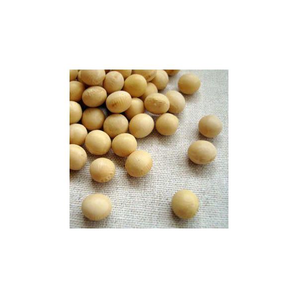 哤 500g 2025NY ߘa7NY kCY Ƃ܂ Lz}