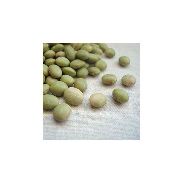 馬のかみしめ 500g 2025年産 令和7年産 山形県産 青大豆