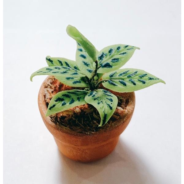 ~j`A@ϗtA@A@h[nEX@RNV@Mtg@No-3