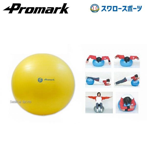 プロマーク 野球 トレーニング バランスボール レベル1 Tpt0251 巣ごもり すごもり おうち時間 グッズ ステイホーム 設備 備品 Promark 野球部 室内 屋内 野 野球用品専門店スワロースポーツ 通販 Paypayモール