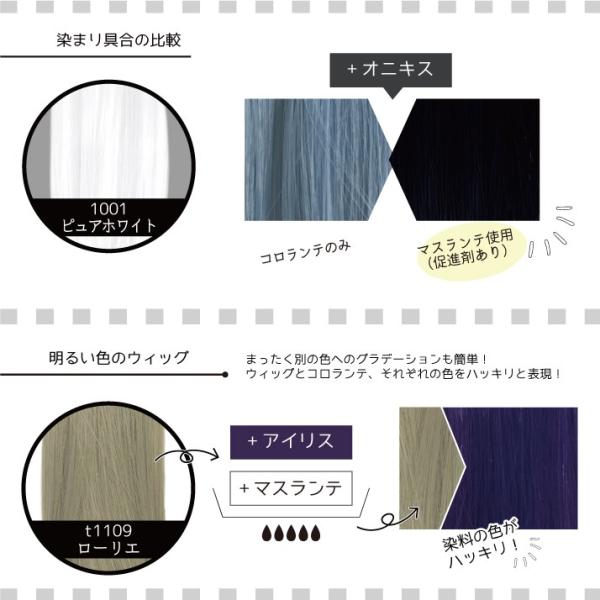 マスランテ 染料コロランテの促進剤 ウィッグ 染料 濃い色 補助剤 染色促進剤 染める ウィッグ染料 ウィッグ染色剤 染色剤 染め方 染める方法 Buyee Buyee 日本の通販商品 オークションの代理入札 代理購入