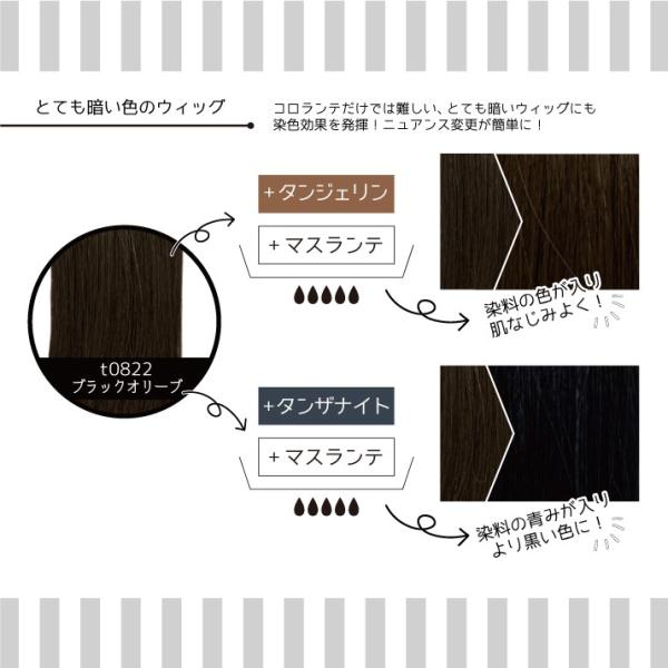 マスランテ 染料コロランテの促進剤 ウィッグ 染料 濃い色 補助剤 染色促進剤 染める ウィッグ染料 ウィッグ染色剤 染色剤 染め方 染める方法 Buyee Buyee 日本の通販商品 オークションの代理入札 代理購入