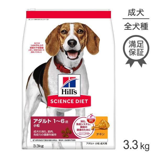 アダルト小粒