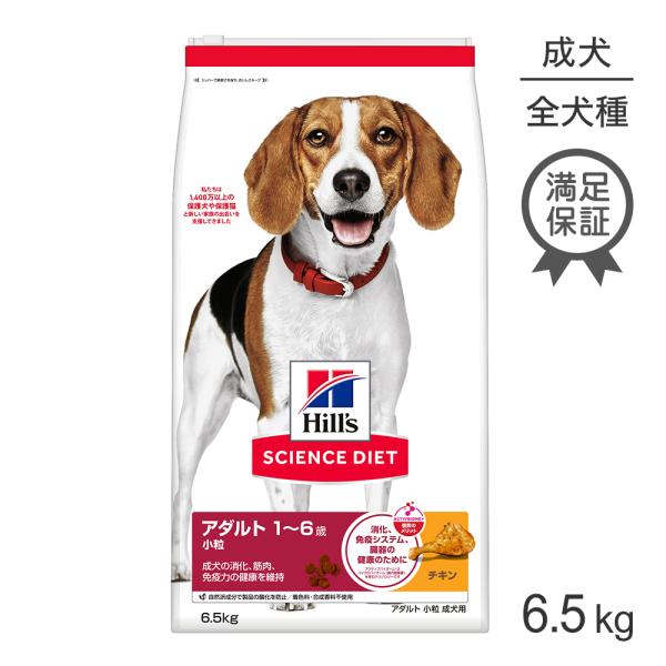 sweet-pet_118632725