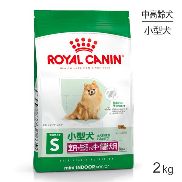 sweet-pet_91596852 sweet-pet_91596852