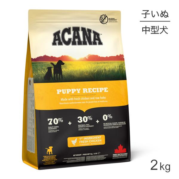 パピー