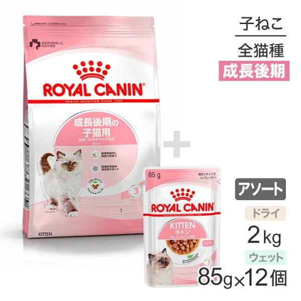 ロイヤルカナン キトン 成長前期 子猫用 　(猫・キャット)2キロ✖️3個　6キロ ロイヤルカナン ロイヤルカナン 子猫 マザー＆ベビーキャット