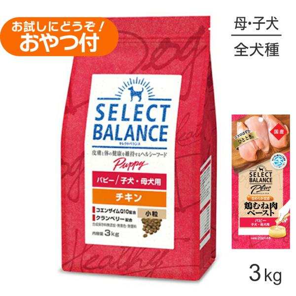パピーチキン