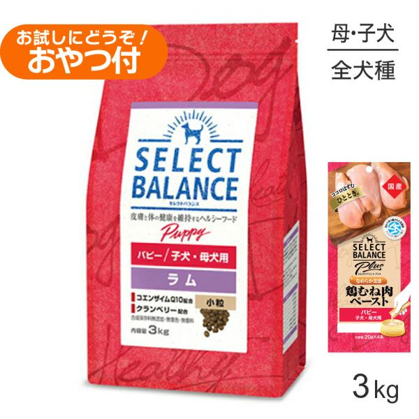 パピーラム