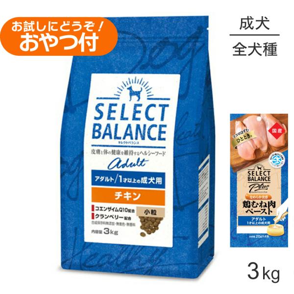 アダルトチキン
