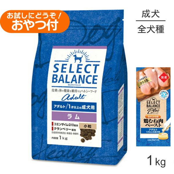 SELECT BALANCE セレクトバランス アダルト ラム 小粒 1才以上の成犬用