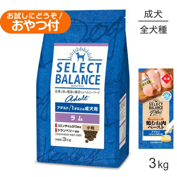 アダルトラム