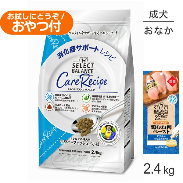 消化器サポートレシピ