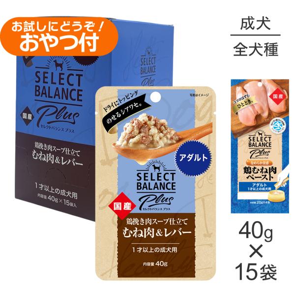 ウェットパウチ