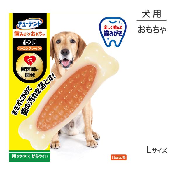 Hartz（ハーツ） 【メール便】ハーツ チューデント 歯みがきおもちゃ