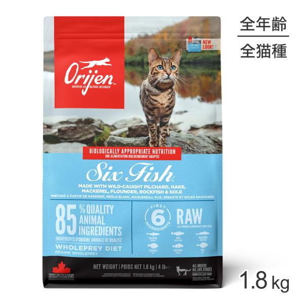 シックスフィッシュキャット