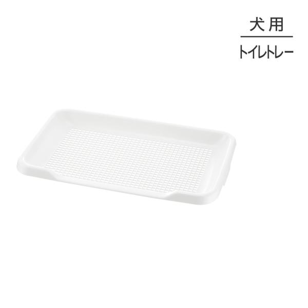 b`F |ȒPXebvg[bV M[ gCg[  (EhbO)