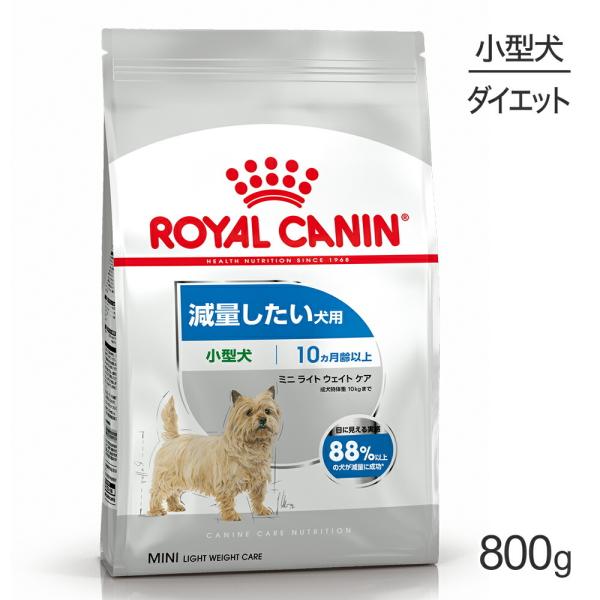 15PayPay|CgCJi CCN ~j Cg EFCg PA ^ ʂp 10ȏ 800g (EhbO)[Ki]