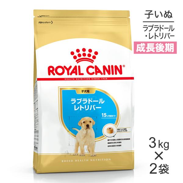 CANIN ゴールデンレトリバー ドライフード 3kg　2袋 楽天市場】【賞味期限:2026/11/15】[ 正規品 送料無料