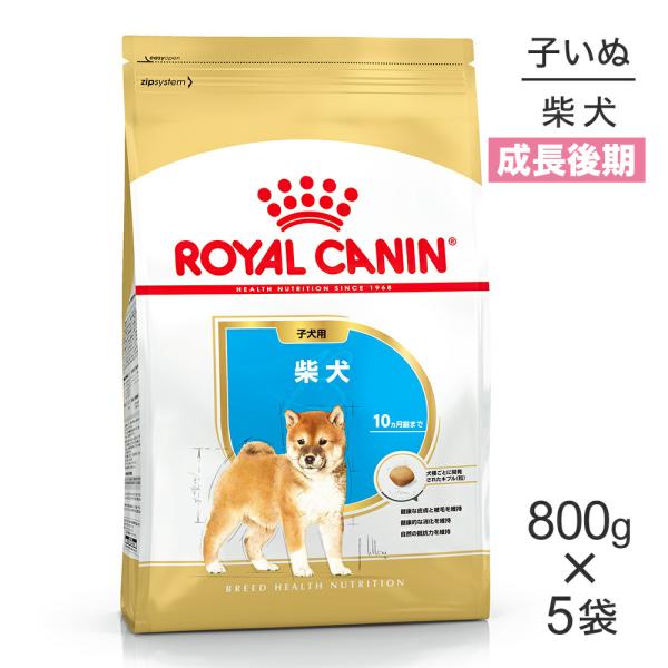ロイヤルカナン ブリード ヘルス ニュートリション 柴犬 成犬用(8kg) ブリード ヘルス ニュートリション 【800g×5袋】ロイヤルカナン BHN