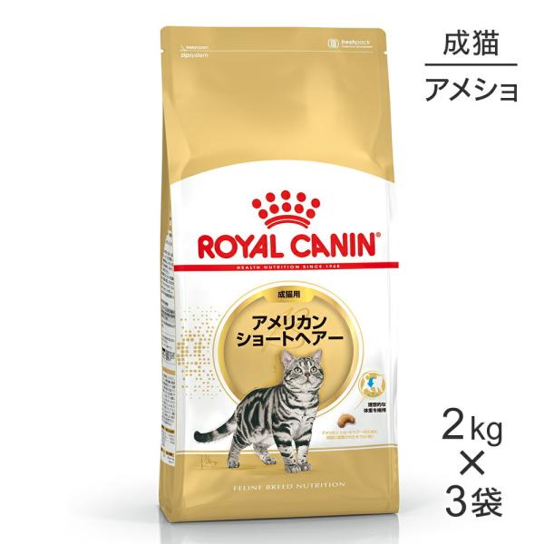 ロイヤルカナン 【2kg×3袋】ロイヤルカナン アメリカンショート ロイヤルカナン 【2kg×3袋】ロイヤルカナン アメリカンショート