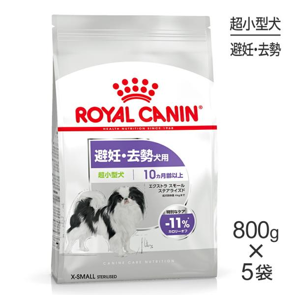 y800g×5܁zCJi CCN GNXg X[ XeACYh ^ DE 10ȏ (EhbO)[Ki]