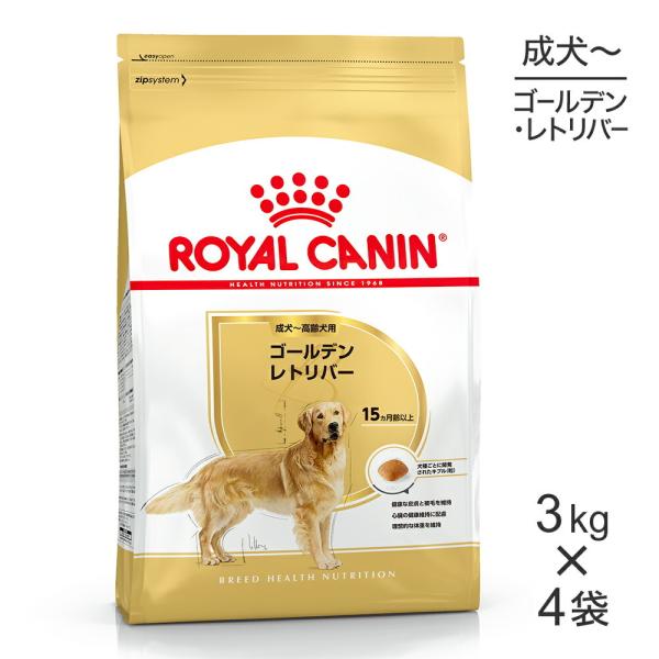  CANIN ゴールデンレトリバー 24kg みね② sweet-pet_set1760ro