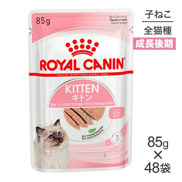 【85g×48袋】ロイヤルカナン FHN-WET キトン ローフ  (猫・キャット)[正規品]