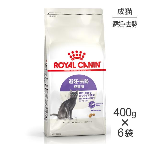 y400g×6܁zCJi FHN XeACYh DE Lp 12ȏ (LELbg)[Ki]