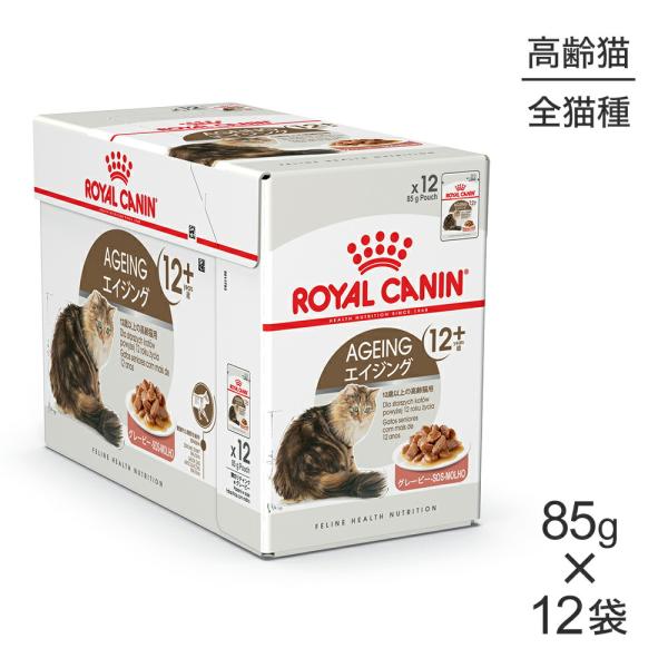 ロイヤルカナン 【85g×12袋】ロイヤルカナン FHN-WET エイジング ロイヤルカナン 【85g×12袋】ロイヤルカナン FHN-WET エイジング