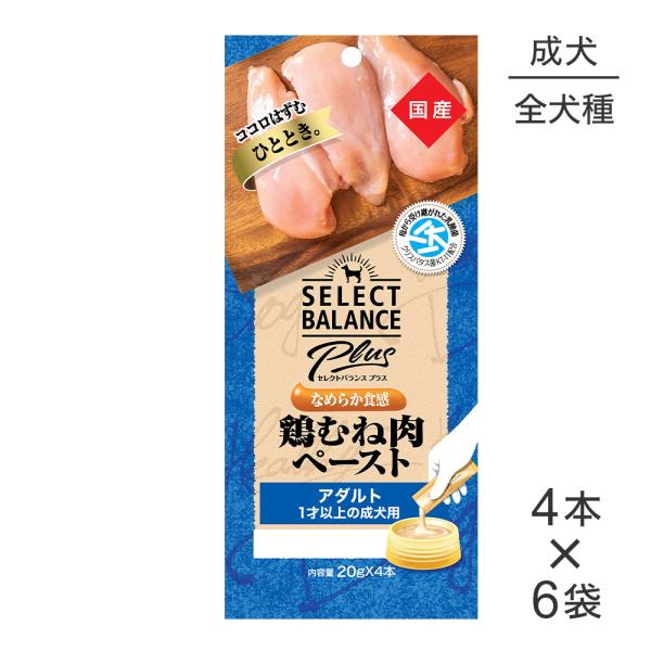 鶏むね肉ペースト