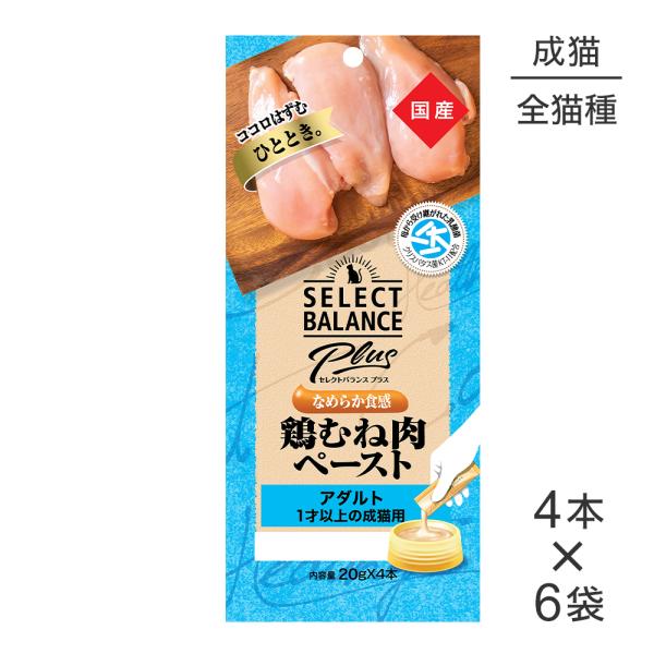 鶏むね肉ペースト