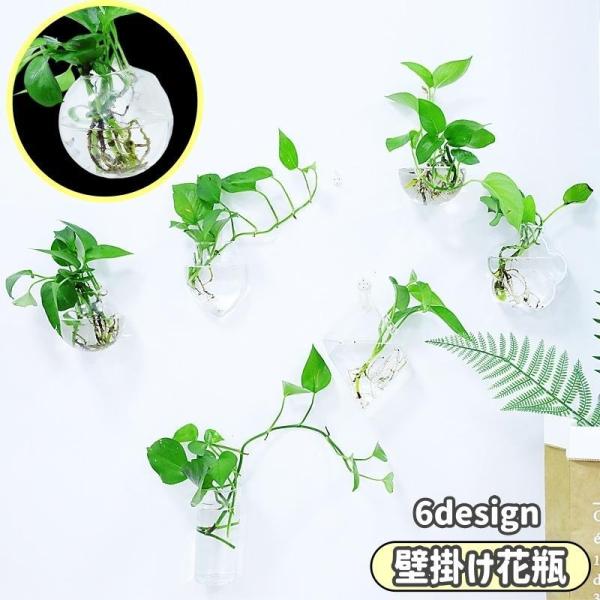 壁掛け花瓶 水耕栽培 花瓶 ガラス 吊り下げ 壁掛け 植木鉢 円形 花形