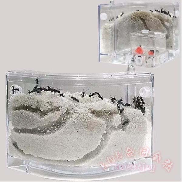 アリの巣　あり観察キット　アリの巣観察キット　アリ　巣　観察　飼育ケース　砂　自由研究 小学生 キット あり 蟻 飼育セット 実験セット 観察 工作 男の子　女の子　夏休み　学習用　おもしろ実験　