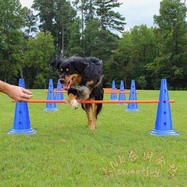 ドッグアジリティ トレーニング コーン ポール セット アジリティー 犬 ジャンプバー ハードル 犬用 ドッグ 障害物 柵 競技 競争 練習 ジャンプ