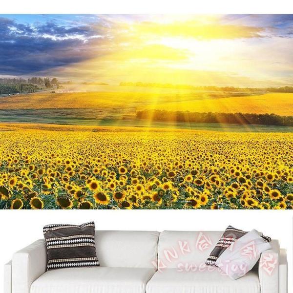 アクリルフレーム フォトフレーム 額縁 A3サイズ 壁掛け 横縦置き兼用 写真立て クリアフレーム 賞状 ポスターフレーム おしゃれ 297mm