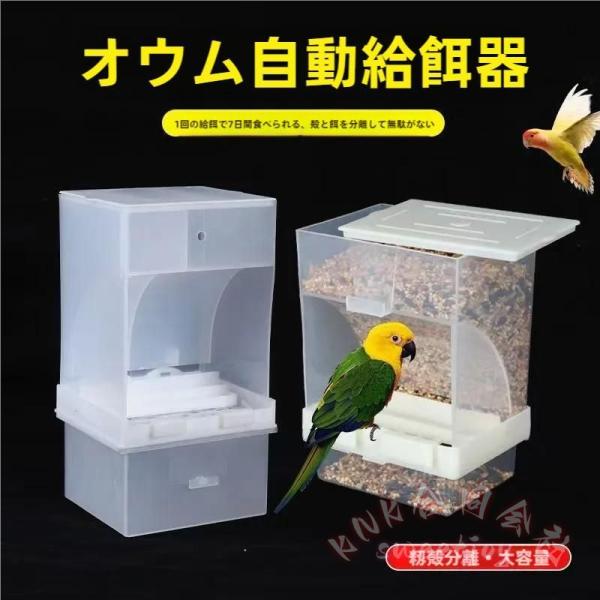バードフィーダー 鳥 餌入れ 水入れ 自動 小鳥 餌台 食器 インコオウム えさ入れ えさいれ 鳥の餌台 500gの大容量 大容量で、フードがたっぷり入ります。残量も一目で分かるクリアカラーで、長時間のお留守番も安心です。 自動補給で楽々 ...
