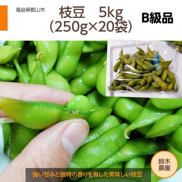 鈴木農園】枝豆 5kg（250g×20袋）家庭用・訳ありB級品 福島県
