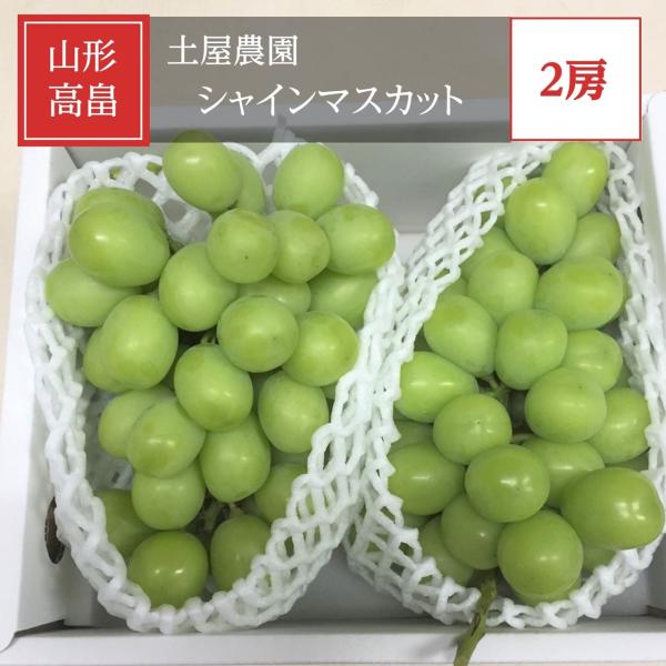 ぶどう 【土屋農園】 葡萄 シャインマスカット 2房 約1.4kg 贈答